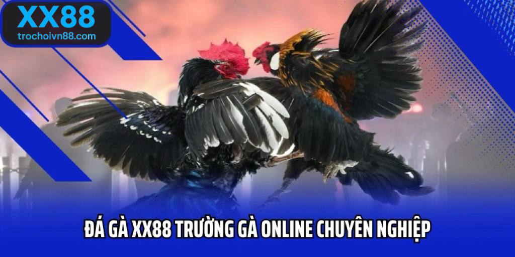 Đá gà XX88 - Cá cược đá gà trực tuyến kịch tính, tỷ lệ ăn cao