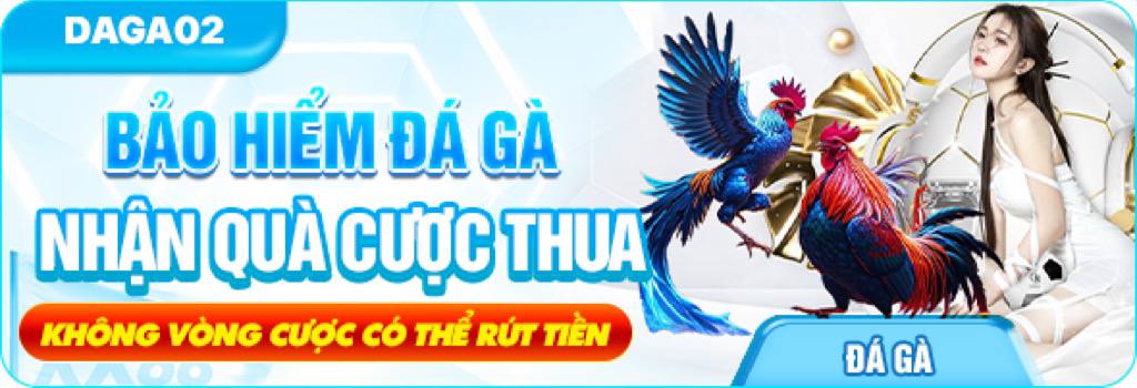 Bảo Hiểm Đá Gà XX88 - Nhận Quà Cược Thua lên tới 20,000 điểm